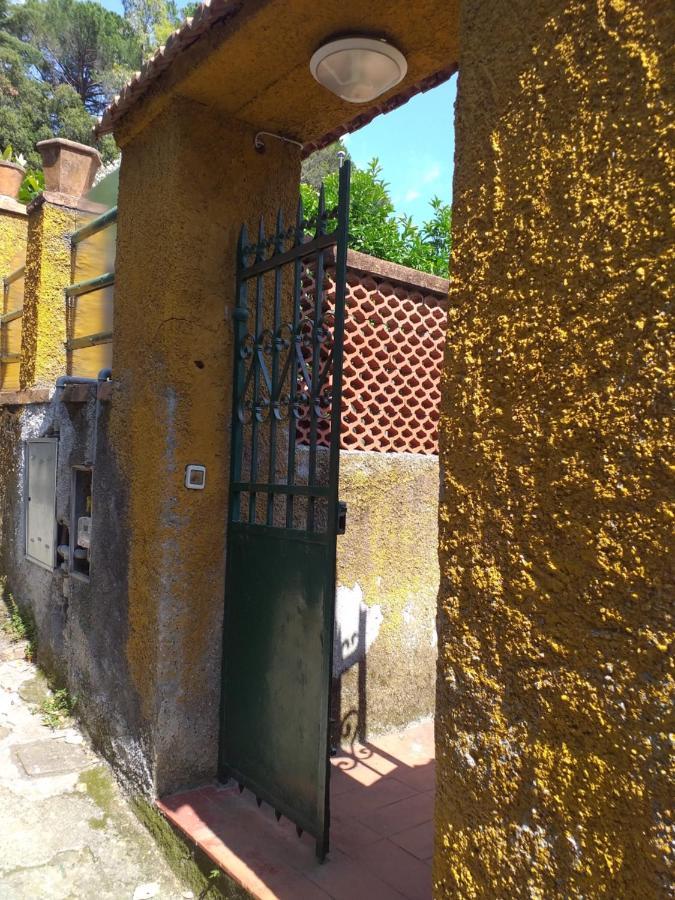 Affittacamere Antonella Monterosso al Mare Zewnętrze zdjęcie