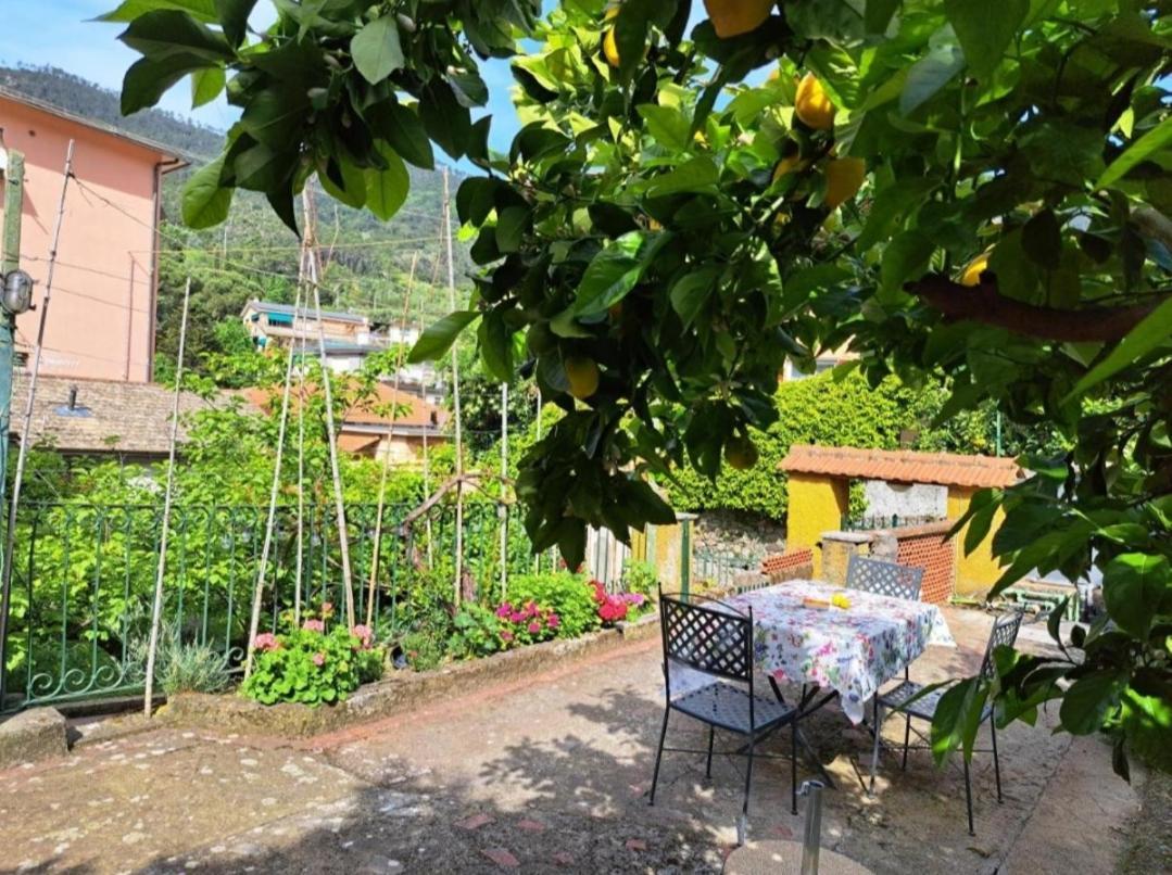 Affittacamere Antonella Monterosso al Mare Zewnętrze zdjęcie